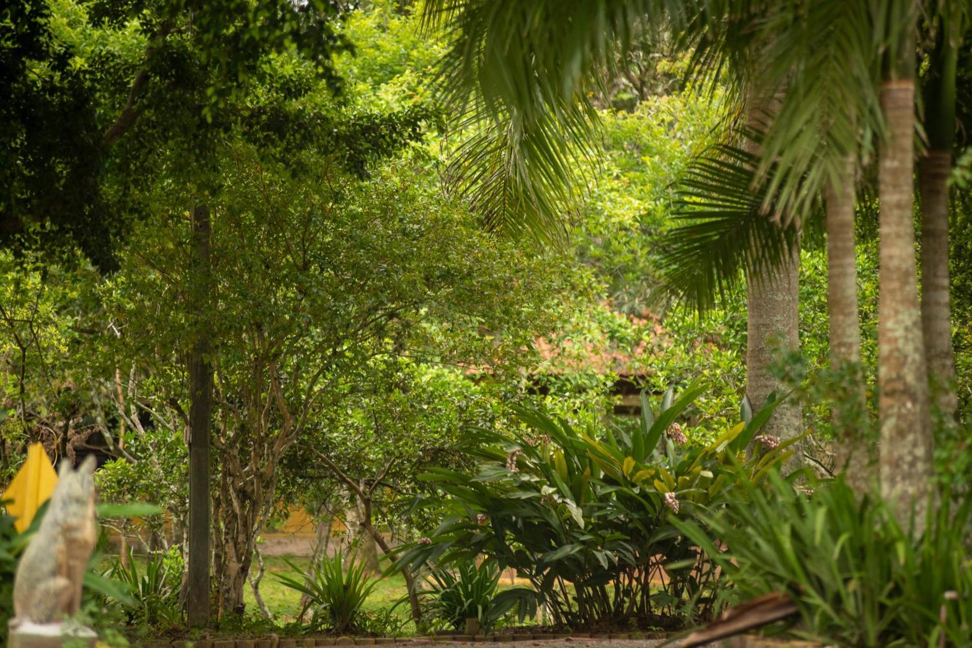 Pousada Chacara Rio Jordao Florianópolis Exteriér fotografie